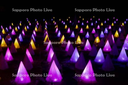 おとふけ十勝川白鳥まつり　彩凛華