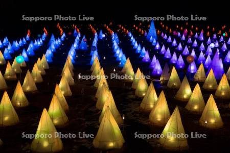 おとふけ十勝川白鳥まつり　彩凛華