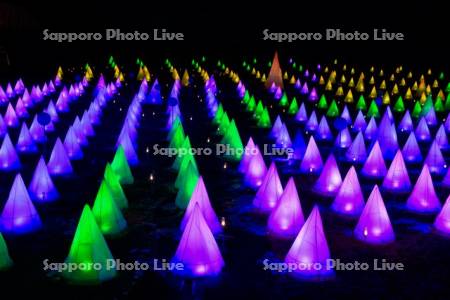 おとふけ十勝川白鳥まつり　彩凛華