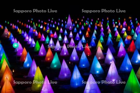 おとふけ十勝川白鳥まつり　彩凛華