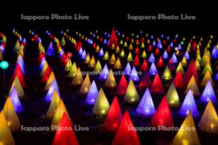 おとふけ十勝川白鳥まつり　彩凛華