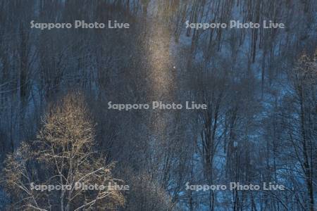 ダイヤモンドダスト