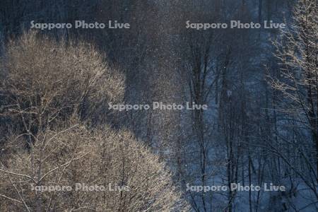 ダイヤモンドダスト