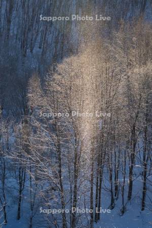 ダイヤモンドダスト