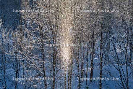 ダイヤモンドダスト