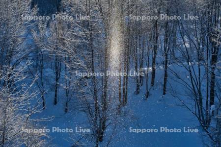 ダイヤモンドダスト