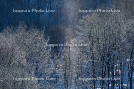 ダイヤモンドダスト