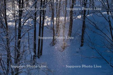 ダイヤモンドダスト