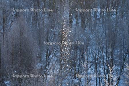 ダイヤモンドダスト