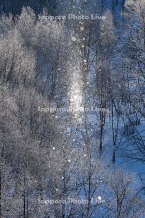 ダイヤモンドダスト