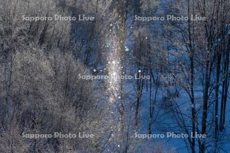 ダイヤモンドダスト