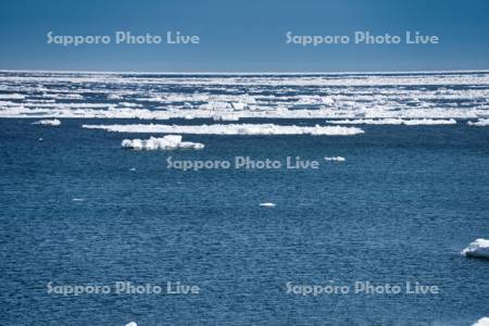 オホーツク海の流氷