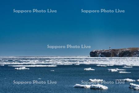 オホーツク海の流氷