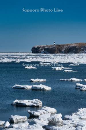 オホーツク海の流氷