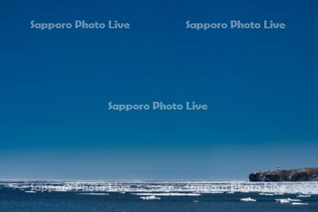 オホーツク海の流氷