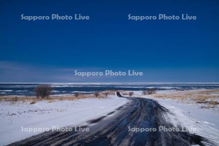 能取岬へ続く道