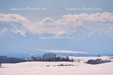 畑と十勝岳連峰