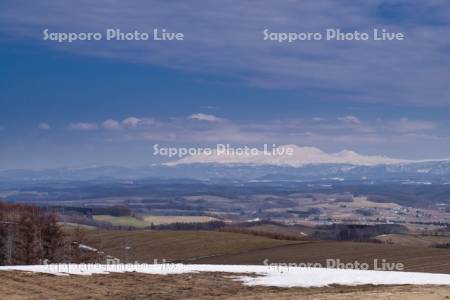 畑と十勝岳連峰