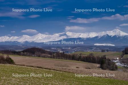 畑と十勝岳連峰