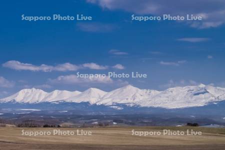 畑と十勝岳連峰