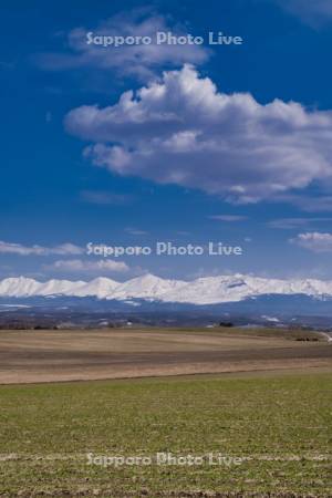 畑と十勝岳連峰