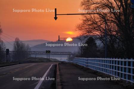車道と歩道の境目上の固定式視線誘導柱と日の出　道道227