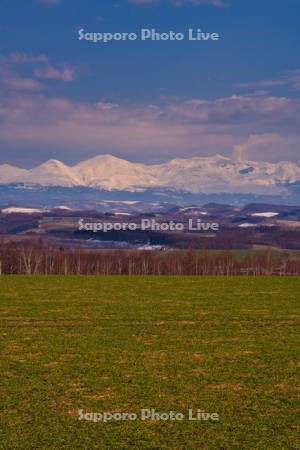 就実の丘より十勝岳連峰