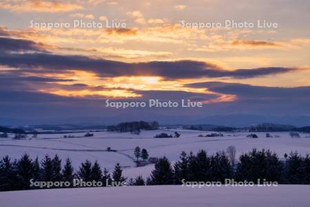 新栄の丘より朝焼け