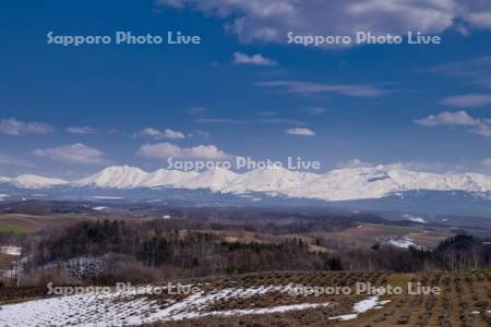四季彩の丘より十勝岳連峰