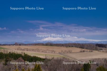 四季彩の丘より十勝岳連峰
