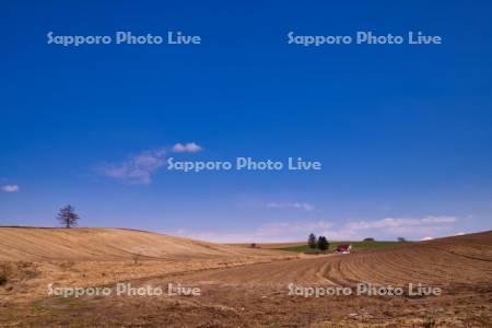 春の畑と赤い屋根の家