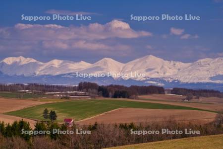 春の畑と十勝岳連峰