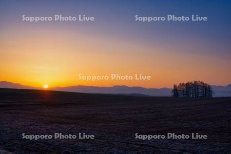 雪解けの畑と日の出