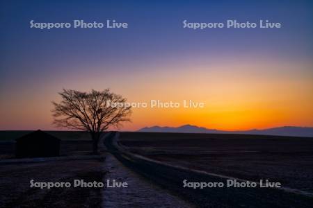 雪解けの畑と日の出