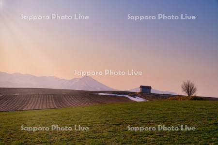 雪解けの畑と小屋