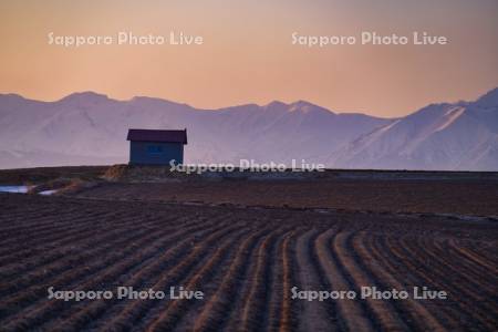 雪解けの畑と小屋