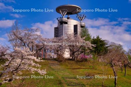 東明公園の桜とスペースカリヨン