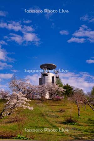 東明公園の桜とスペースカリヨン