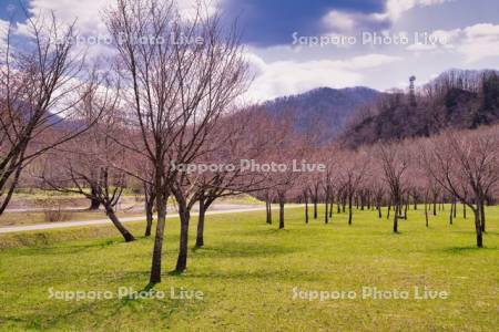 金山ダムサイト公園