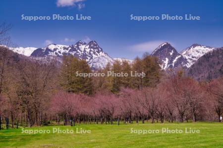 山部自然公園太陽の里キャンプ場