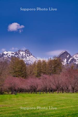 山部自然公園太陽の里キャンプ場