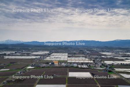 キトウシ森林公園より田園風景