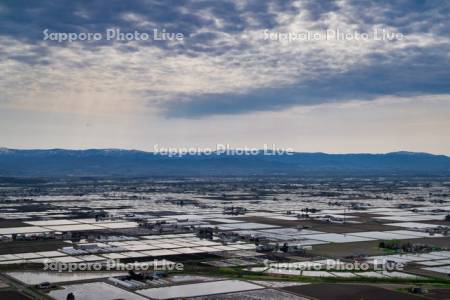 キトウシ森林公園より田園風景