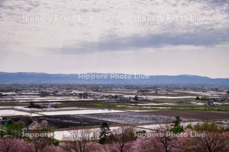 キトウシ森林公園より田園風景