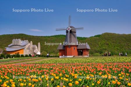 かみゆうべつチューリップ公園