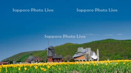 かみゆうべつチューリップ公園