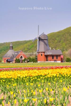 かみゆうべつチューリップ公園