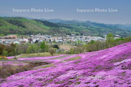 芝ざくら滝上公園