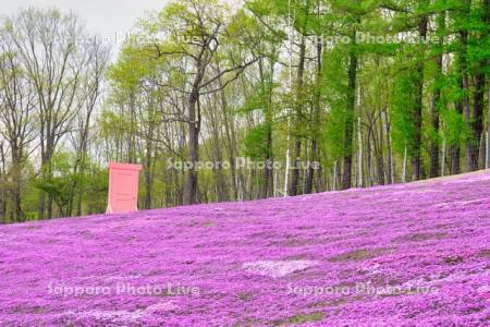 芝ざくら滝上公園どこまでもドア