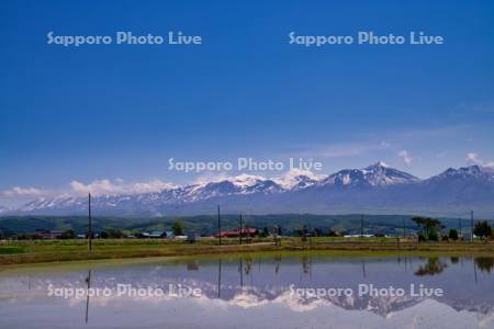 水田と十勝岳連峰